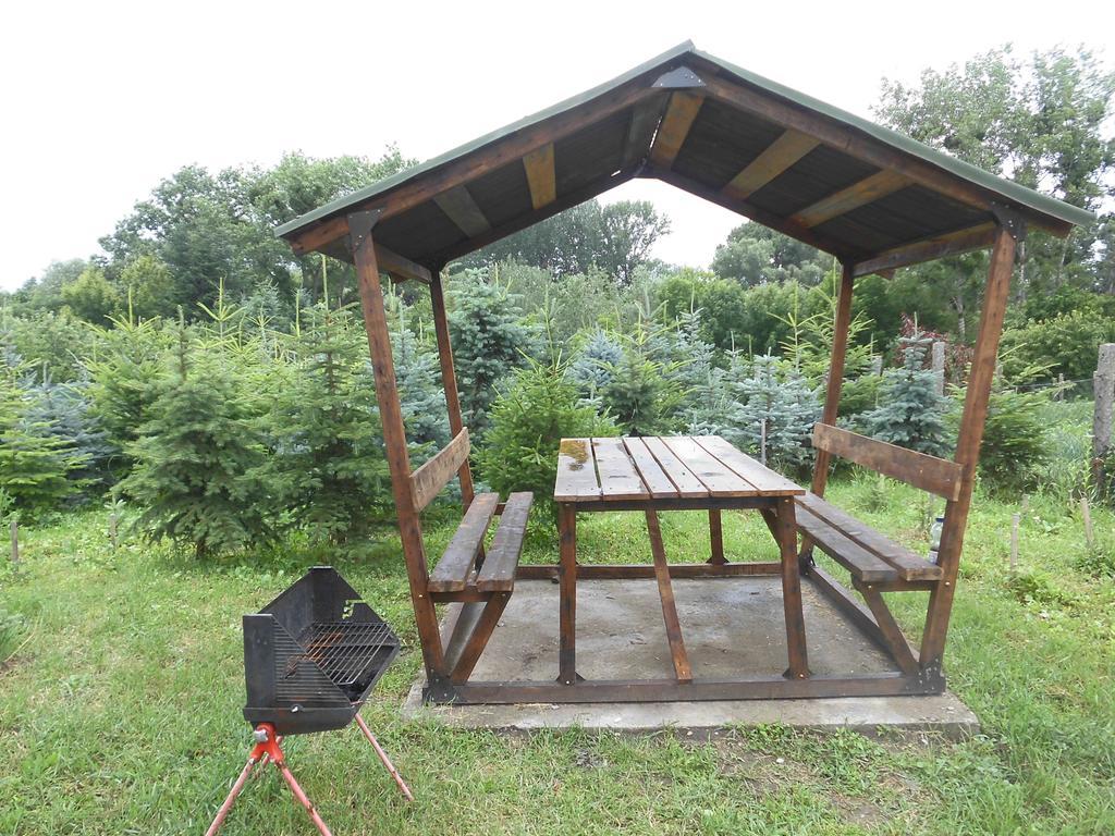 Fenyves Apartman Sárospatak 外观 照片